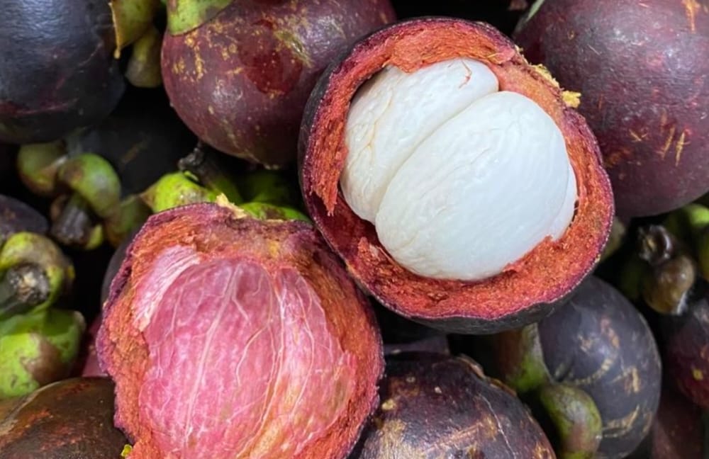 Manfaat Buah Manggis dalam Meredakan Radang Sendi