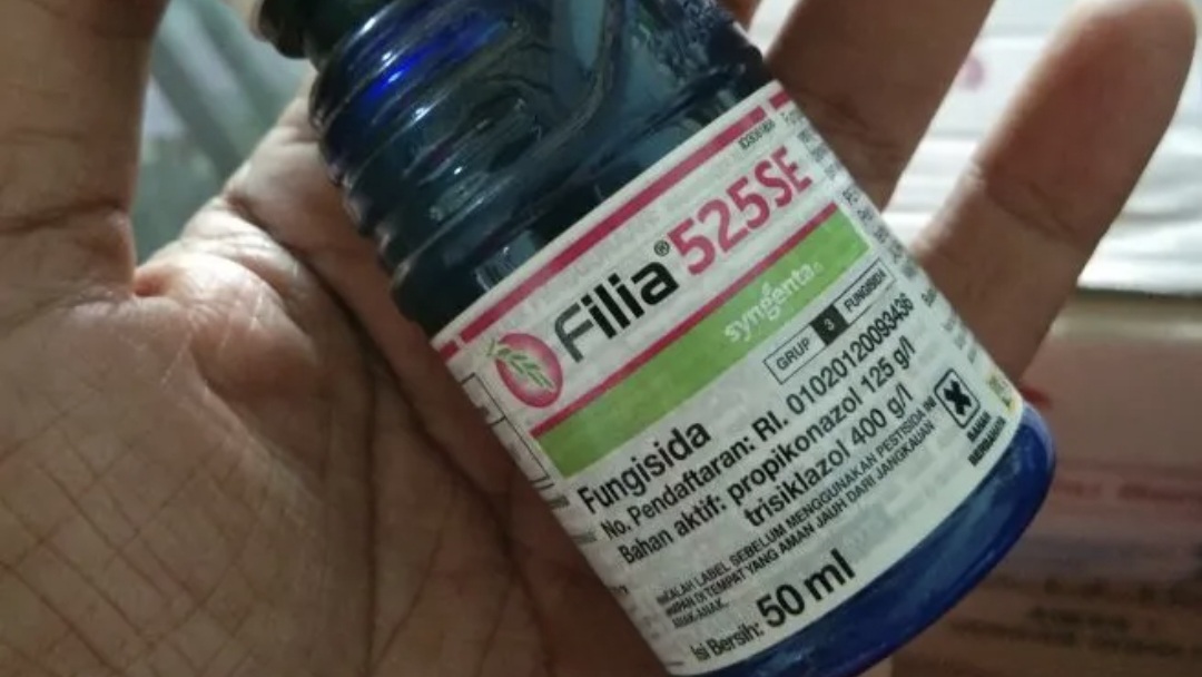 Mengenal Lebih Jauh Tentang Fungisida Filia