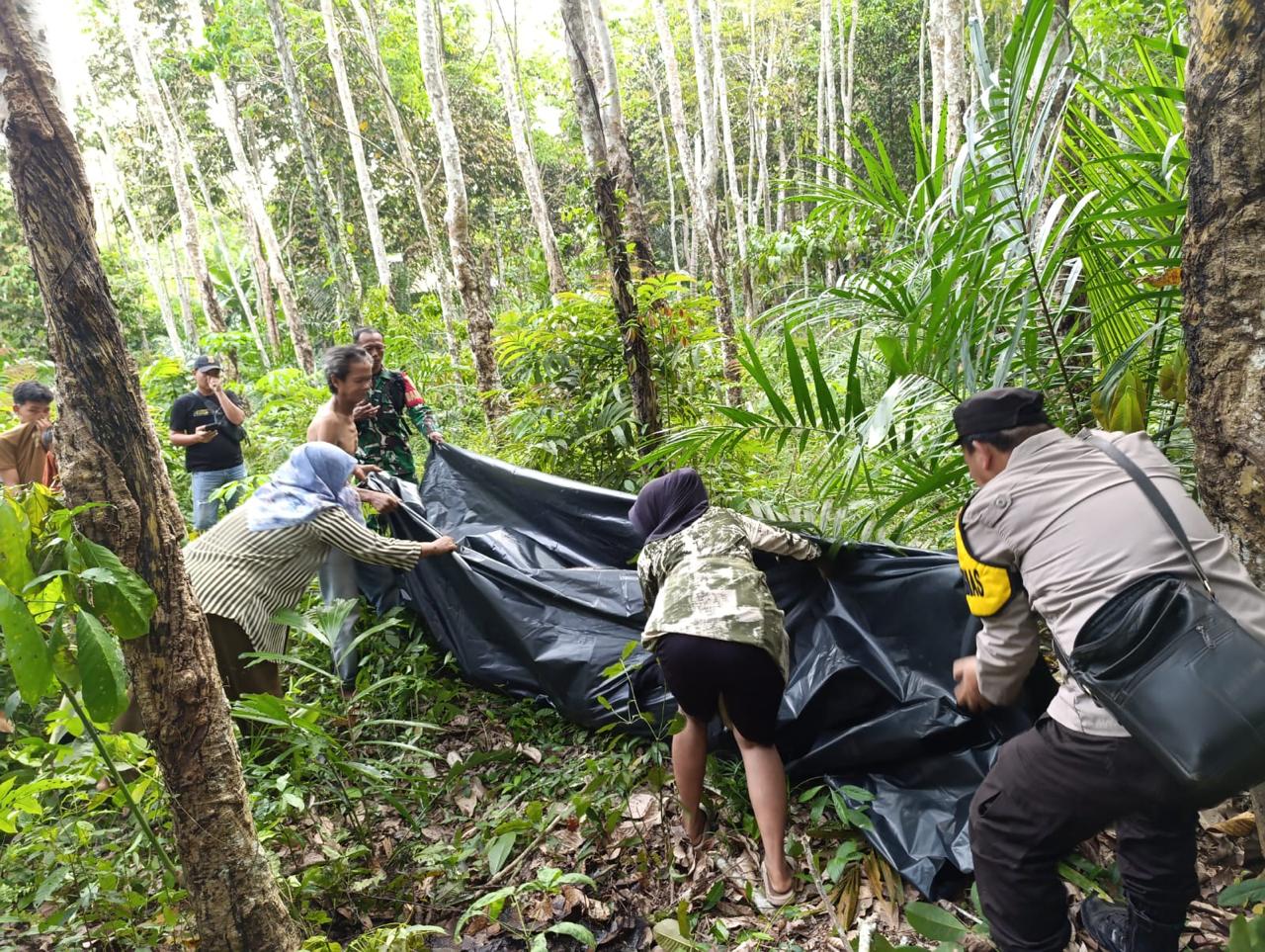 Petani OKU Timur Temukan Mayat Membusuk di Kebun Karet, Warga Heboh
