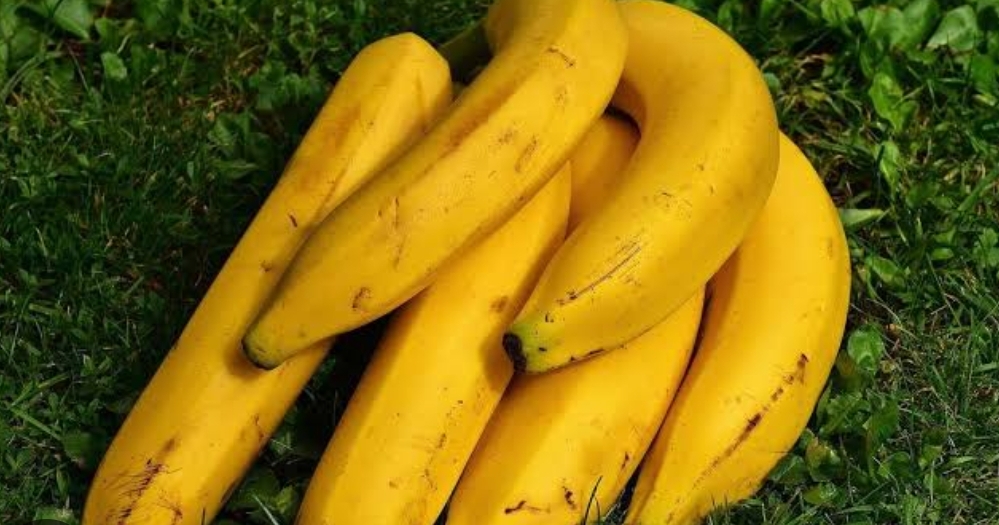 Buah Pisang Memiliki Banyak Khasiat Kesehatan Luar Biasa, Termasuk Menurunkan Kolesterol