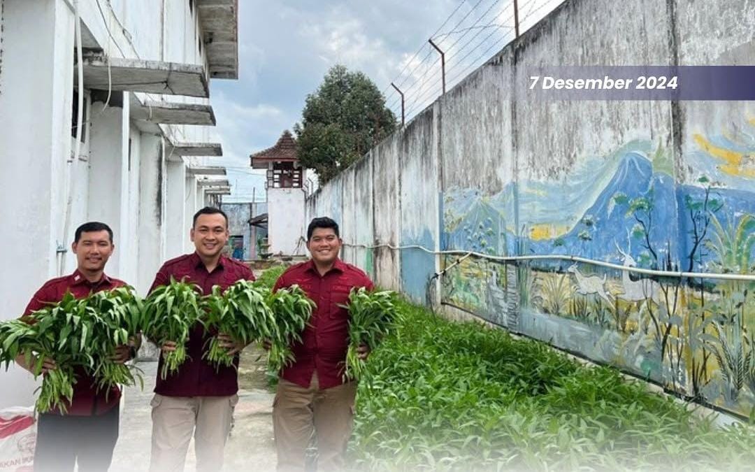 Dukung Program Ketahanan Pangan Nasional, Lapas Martapura Panen Sayuran Hortikultura