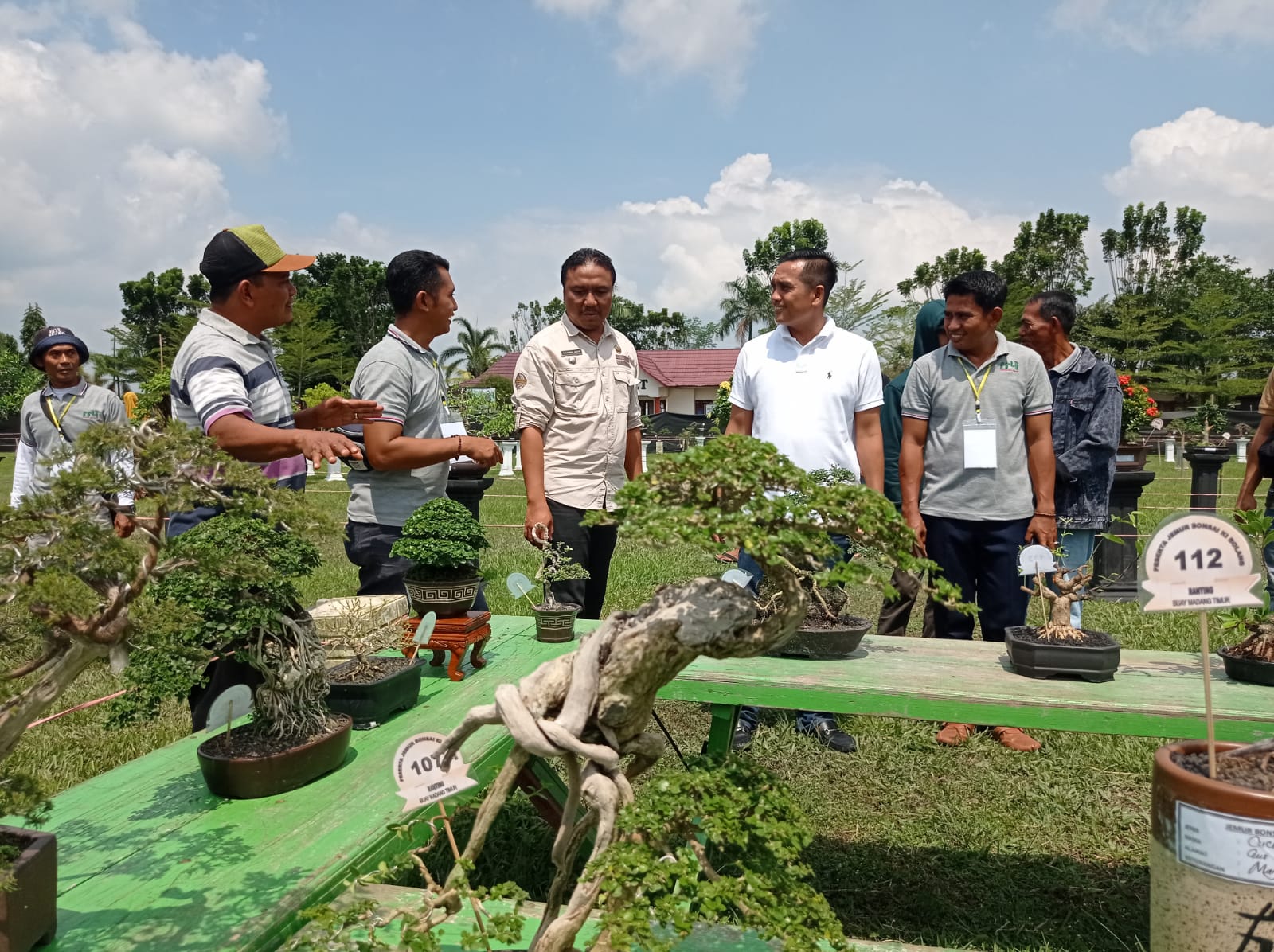 Warga Kompak Jemur Ratusan Bonsai Hias