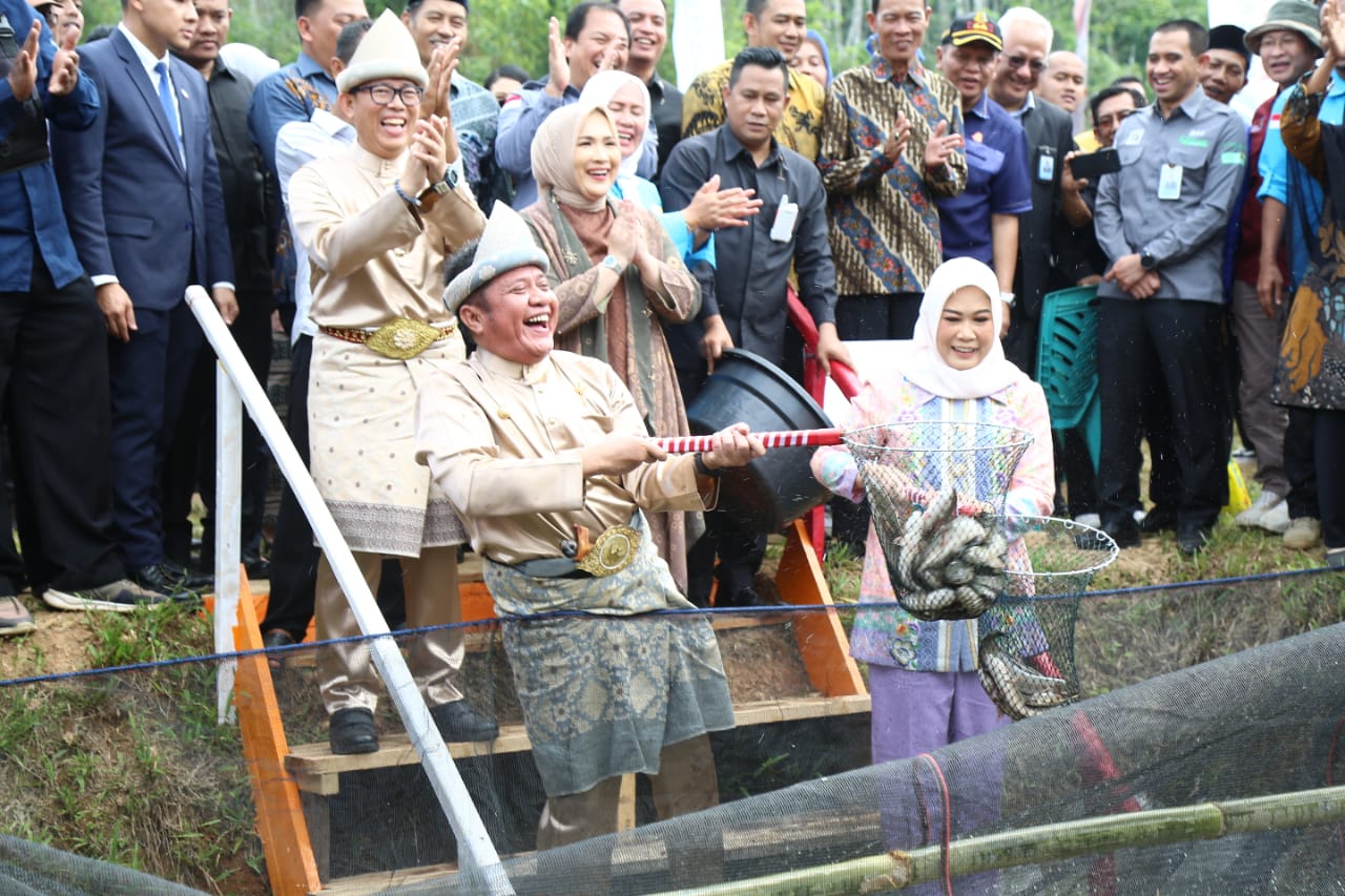 Kampung Budidaya Ikan Gabus OKU, Salah Satu Cara Mendukung  Program GSMP