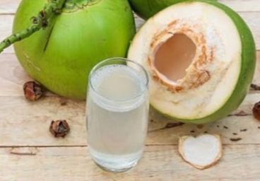 Ini Dia Manfaat Air Kelapa untuk Kesehatan, Bisa Memperlambat Penuaan Juga Lho? 