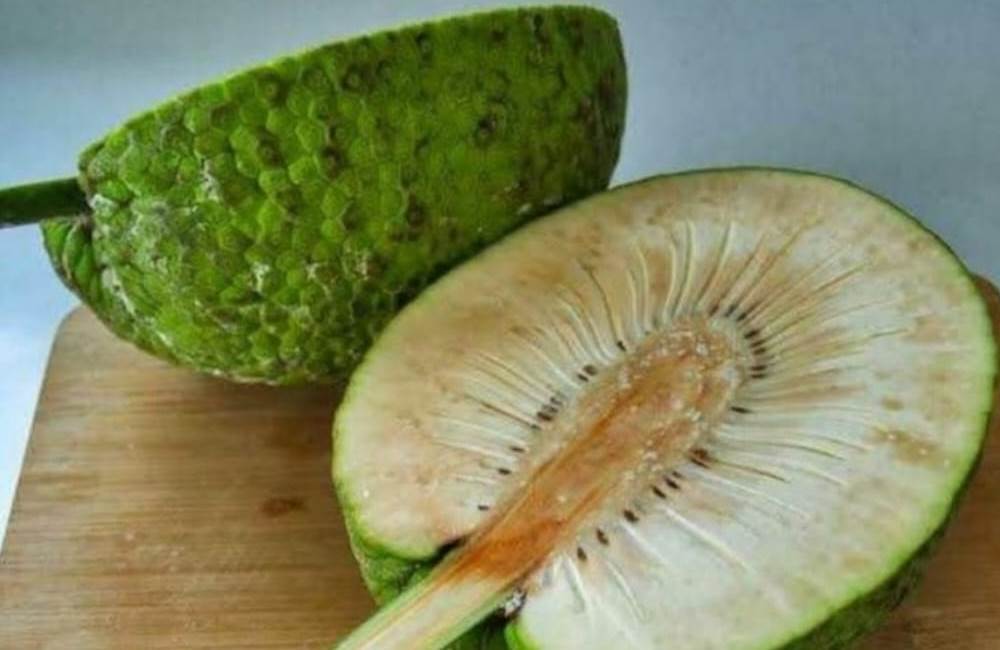 6 Fakta Manfaat Buah Sukun yang Wajib Diketahui