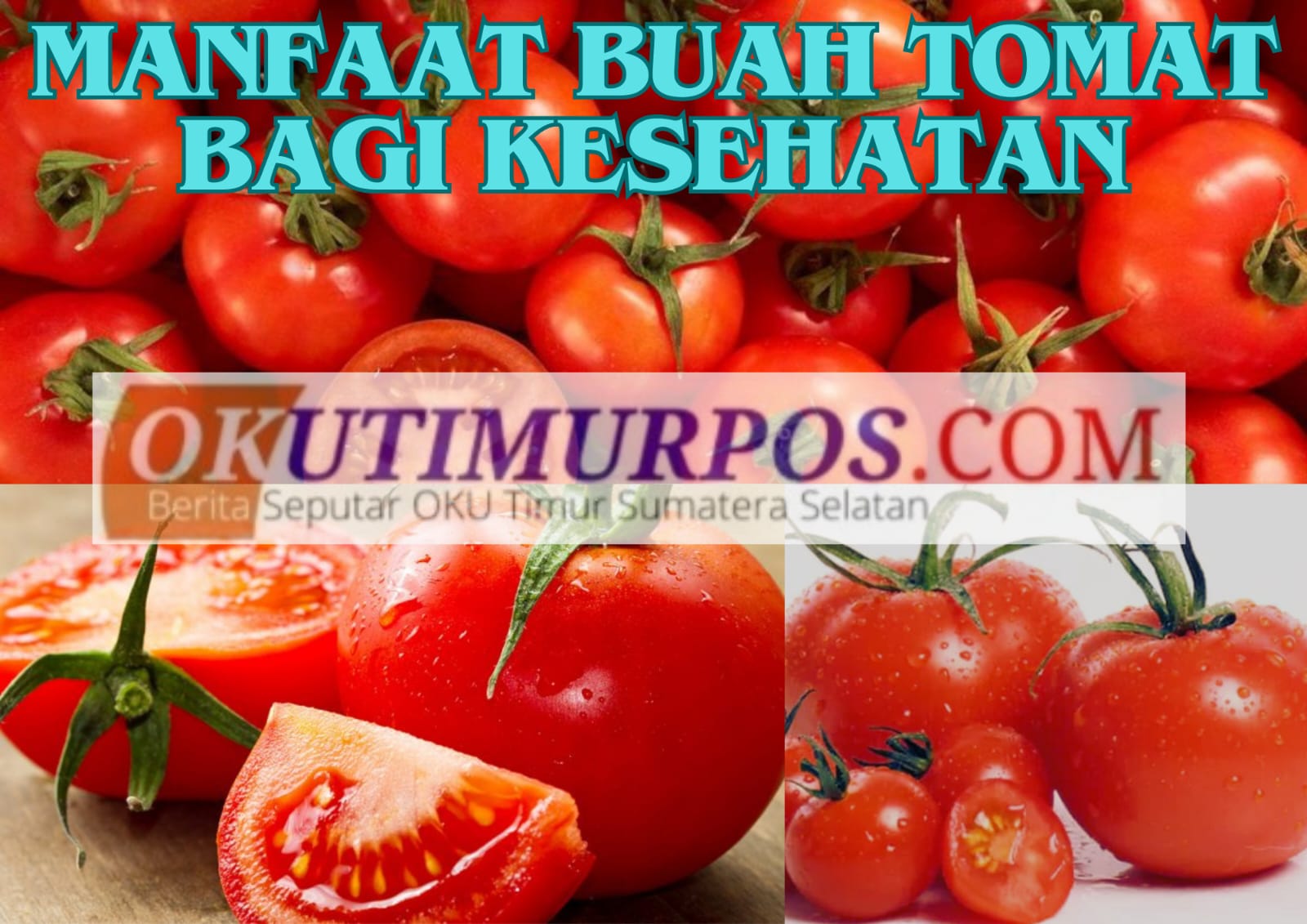 Anda Berjerawat Makanlah Tomat, Inilah 10 Manfaat Buah Tomat untuk Kecantikan dan Kesehatan Tubuh 
