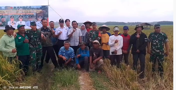 Danpuslatpur AD Dampingi Panen Padi Melimpah Berbasis Mikroba di Martapura