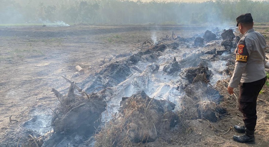 Pantauan Satelit Deteksi Titik Panas di Belitang II, Petugas Temukan Bekas Bakaran Kayu Karet