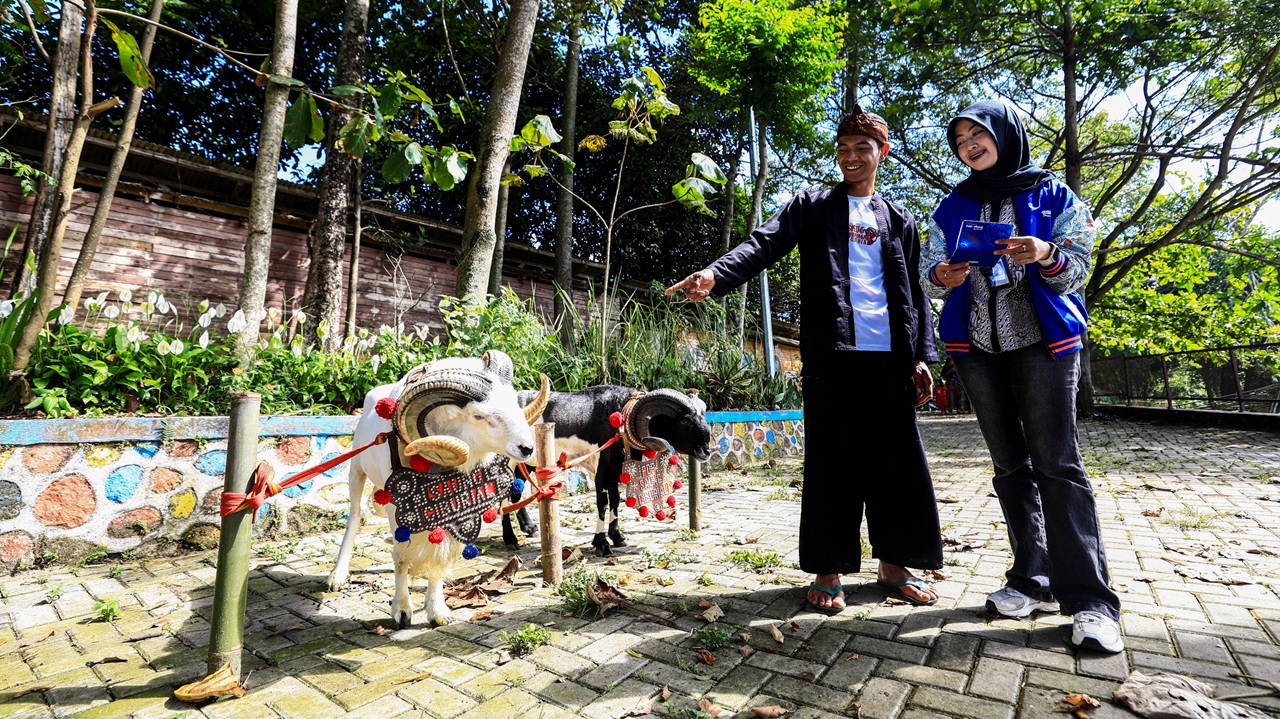 Idul Adha, BRI Peduli Tingkatkan Produktivitas Peternak Domba di Desa BRILiaN Sukalaksana Garut