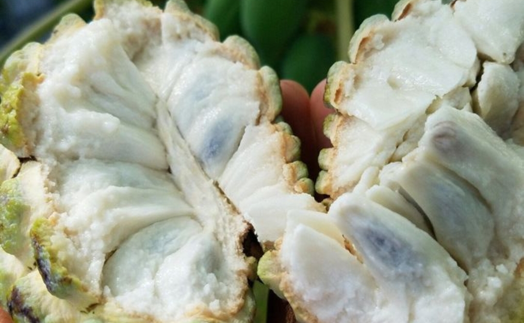 Memiliki Nutrisi yang Penting, Buah Srikaya Ampuh Dalam Mencegah Penyakit Kardiovaskular