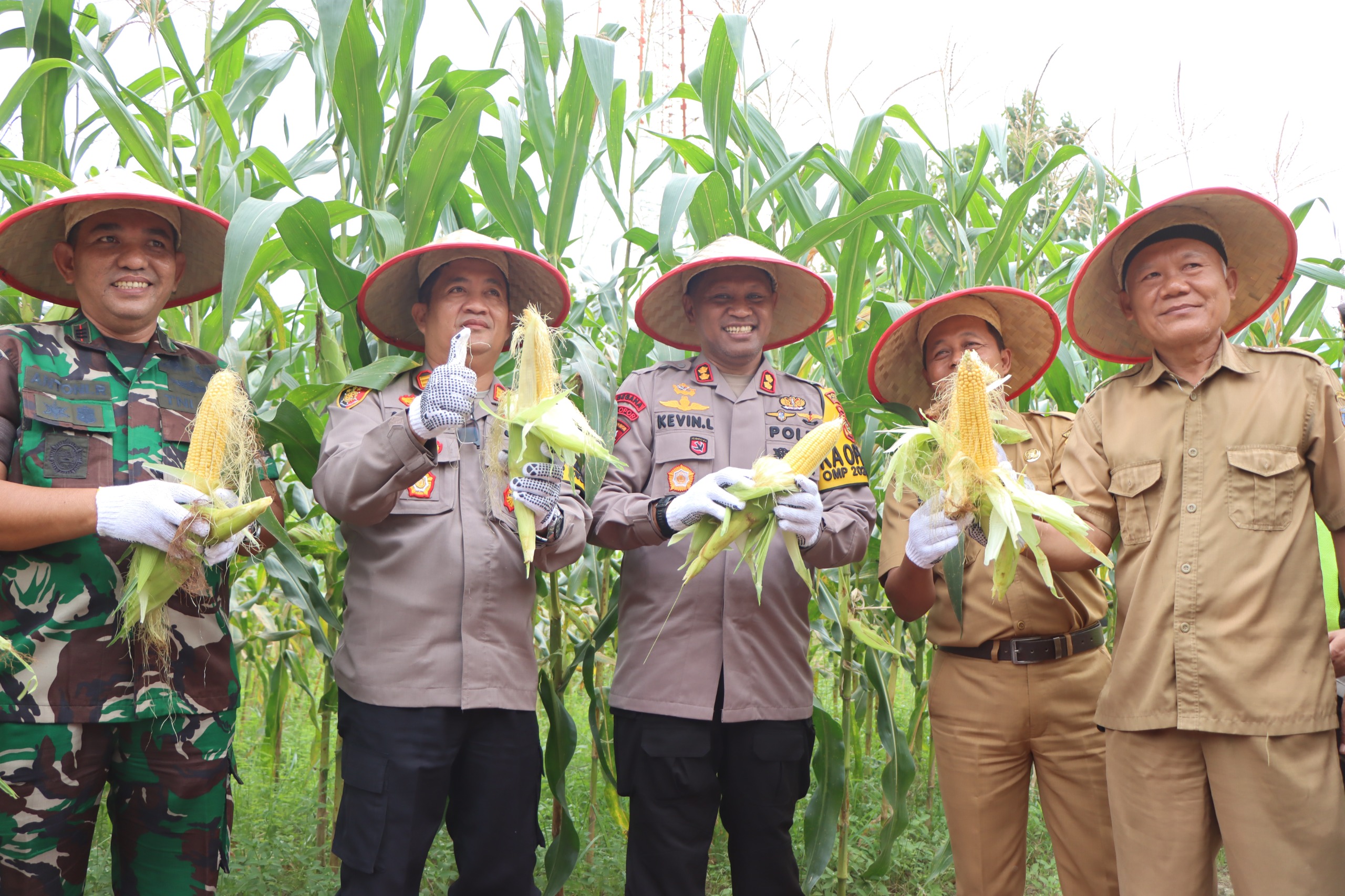 Kapolres OKUT Sumbringah, Panen Jagung Terong Hingga Ikan di Lahan Ketahanan Pangan Polsek