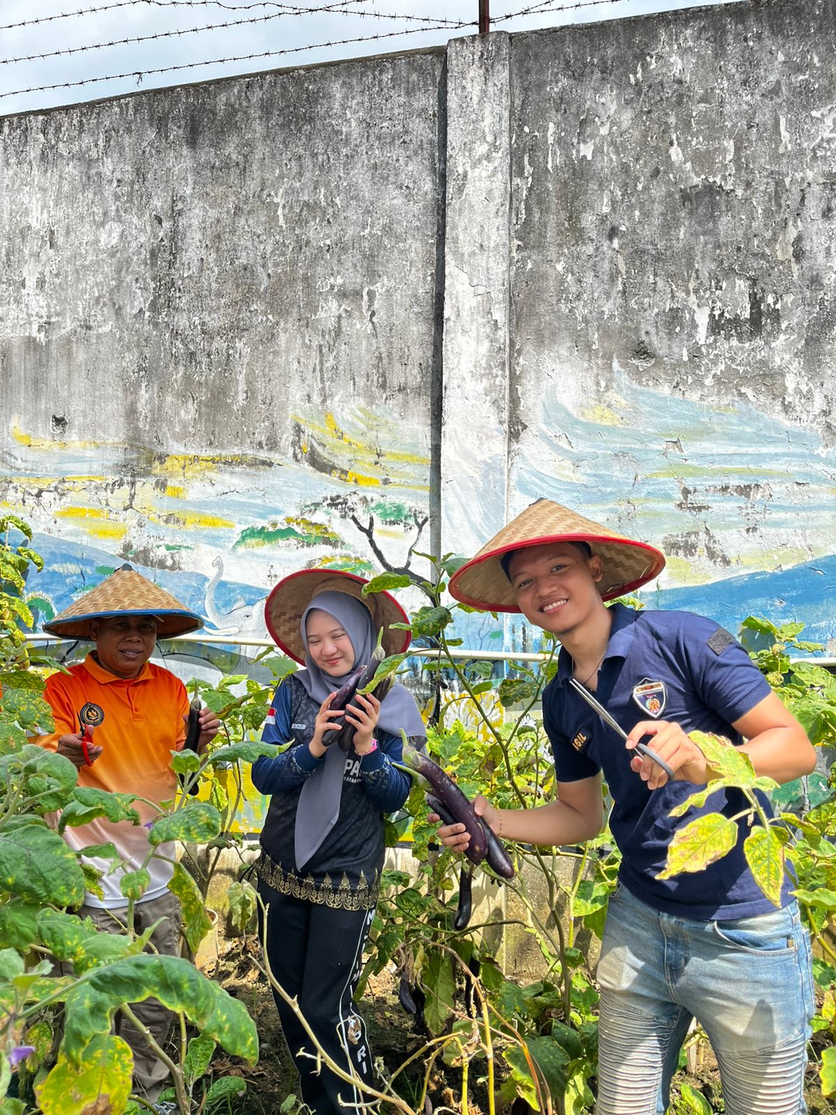 Kalapas Abas Pimpin Panen Raya Hingga Tanam Ulang Holtikultura, Dukung Asta Cita Ketahanan Pangan 