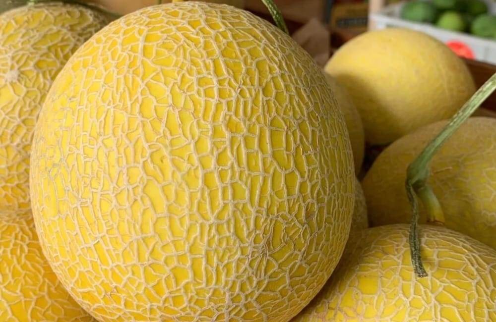 Temukan 6 Manfaat  Buah Melon yang Wajib Kamu Ketahui