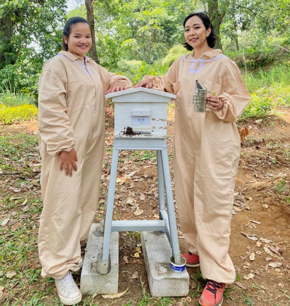 UMKM Madu Lokal Naik Kelas! Tembus Pasar Global Berkat Dukungan BRI