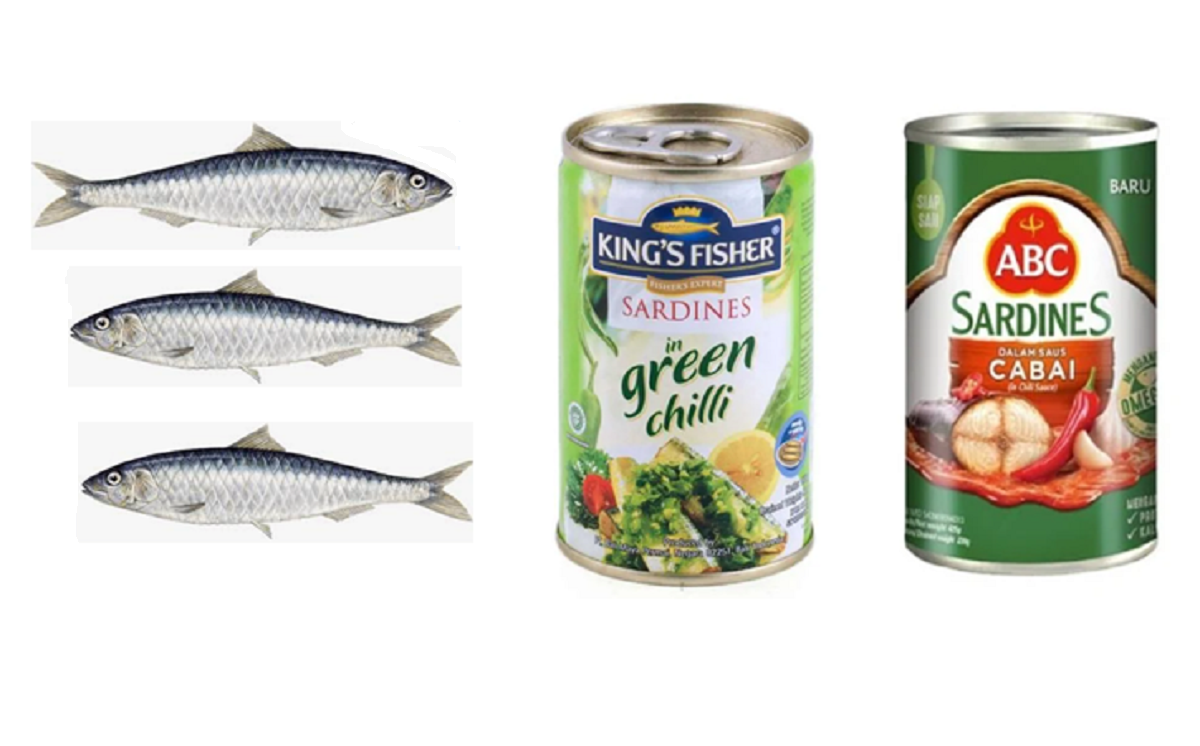 Ikan Sarden:  Si Kecil yang Kaya Manfaat Omega 3, Kalsium, Fosfor dan Vitamin D