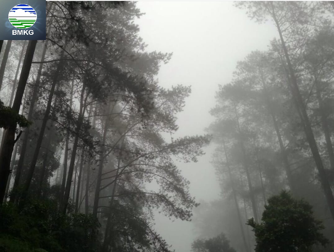 Perkiraan Dini Cuaca di Wilayah Sumatera Selatan, Waspada Kabut di Malam Hari