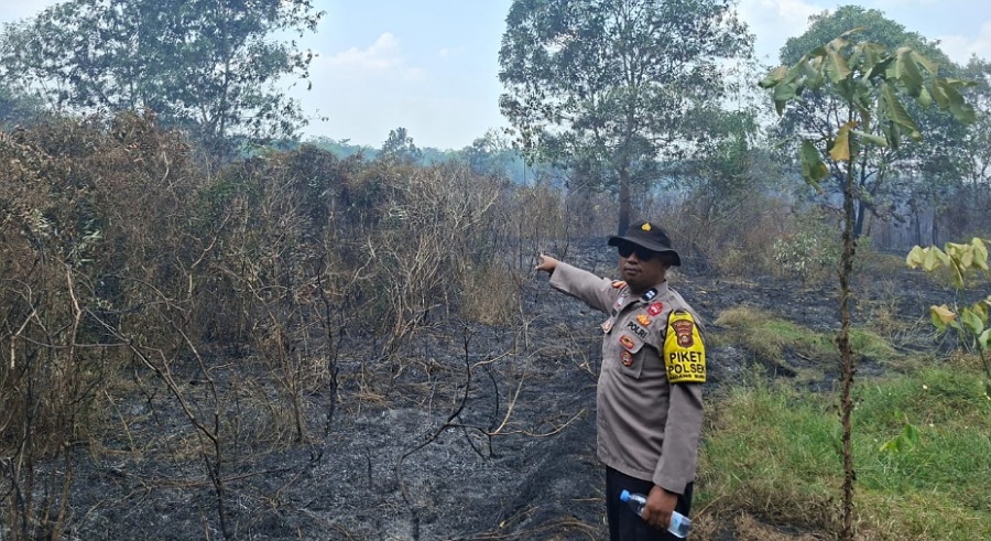 Lagi, Satelit Deteksi Titik Hotspot di OKU Timur, Polsek Madang Suku I Sisir Lahan Sawah