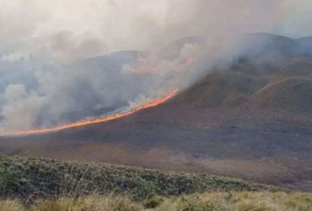 Kerugian Kebakaran Kawasan Bromo Capai Rp5,4 Milyar, Belum termasuk Biaya Pemadaman dan Perbaikan Saluran Pipa