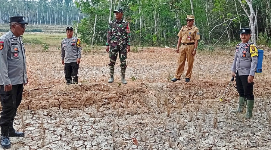 Cegah Kebakaran Hutan, Polsek Madang Suku II Patroli Karhutla di Desa Nikan