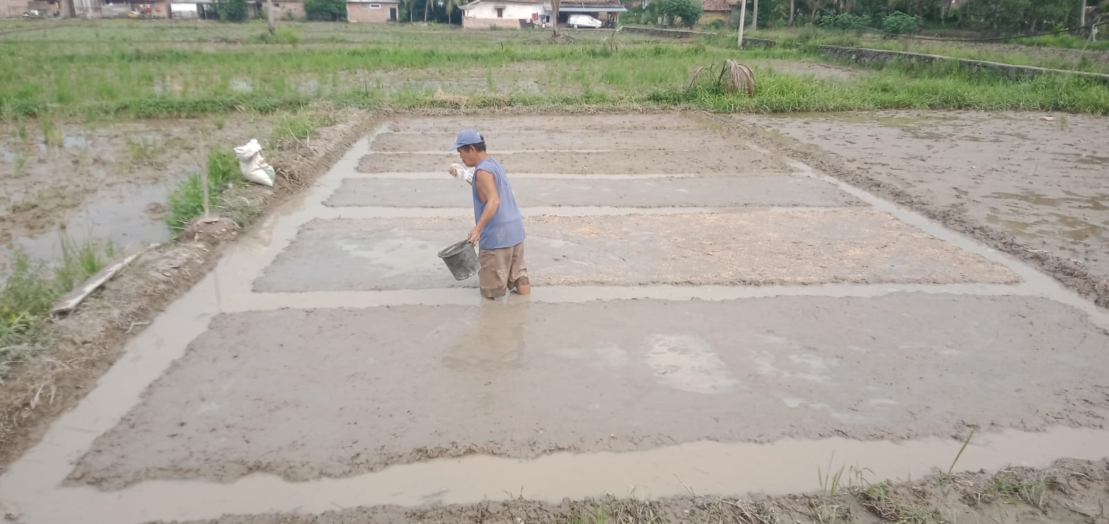 Petani Sawah Tadah Hujan Martapura mulai Semai Padi, Hadapi  Masa Tanam Pertama