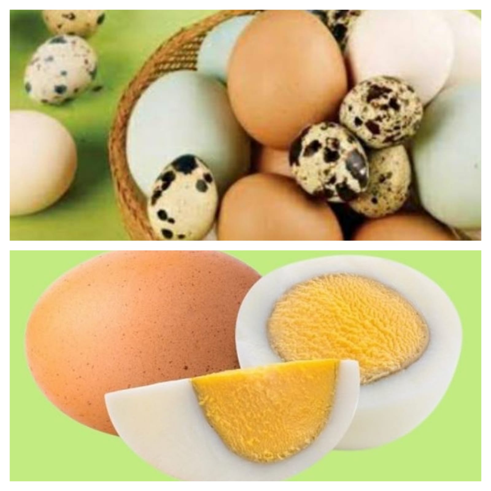 Ternyata setiap Jenis Telur Berbeda Gizi dan Manfaatnya, Mana yang Lebih Sehat? Ini Penjelasannya