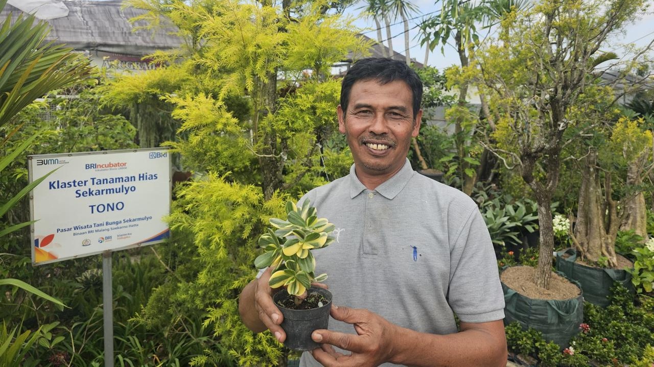 Sukses Jadi Mata Pencaharian Warga Sekitar, Ini Kisah Klaster Usaha Tanaman Hias Binaan BRI 