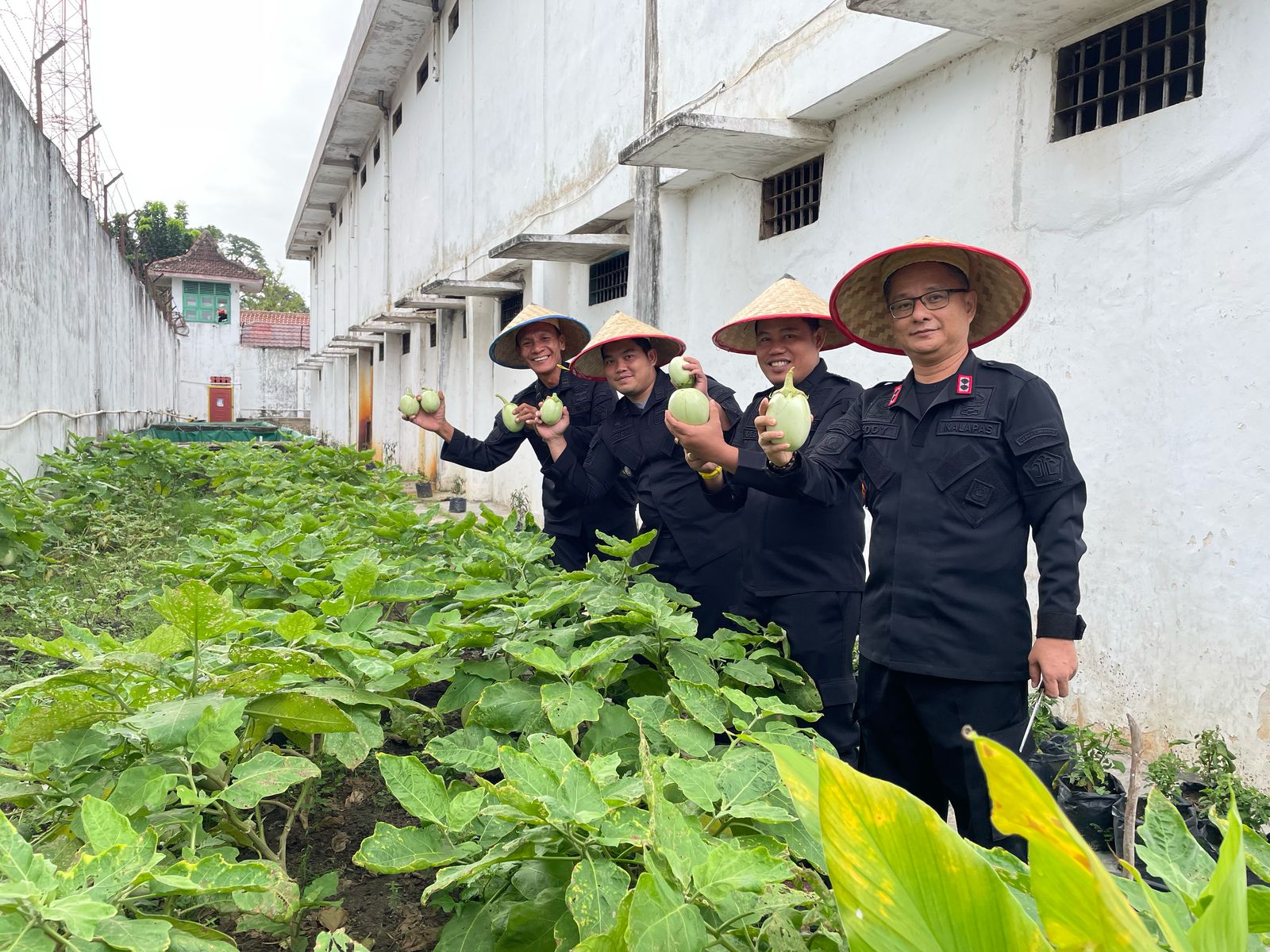 Lapas Martapura Gelar Panen Raya Sayur ke 6 Kali
