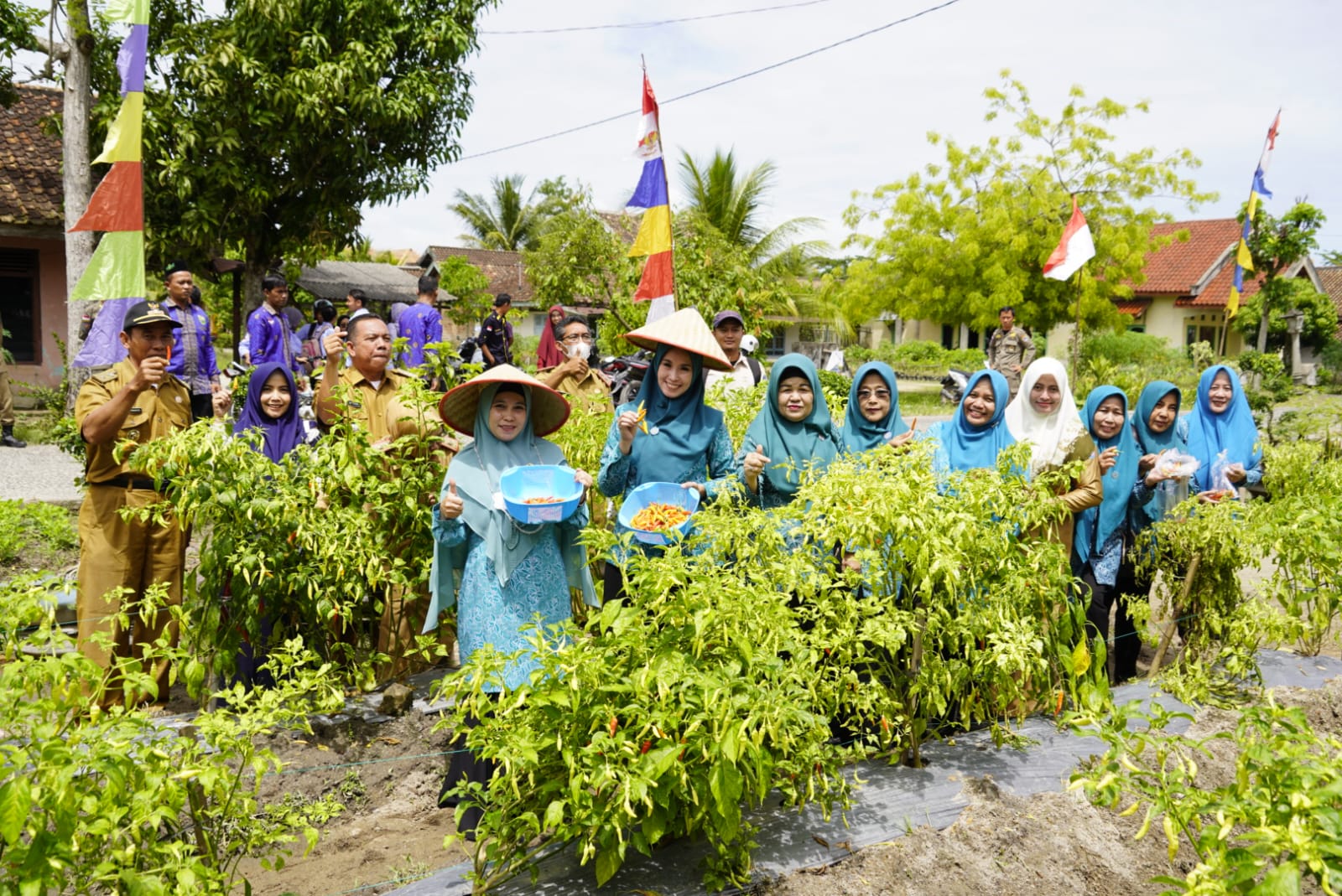 Ketua TP PKK Panen Cabai, Dukung GSMP dan Merdeka Pangan