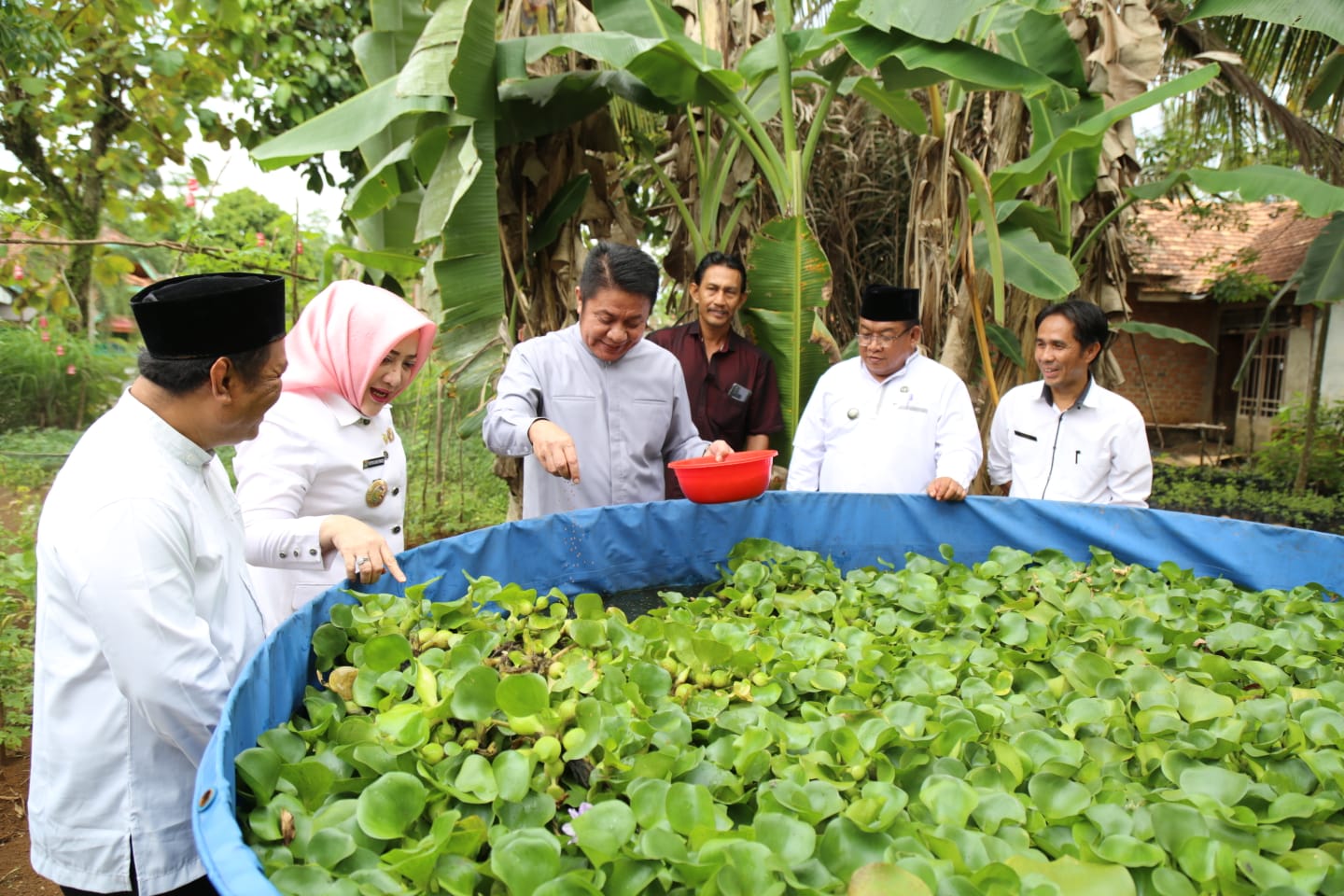 Kurangi Kemiskinan dari Perkarangan