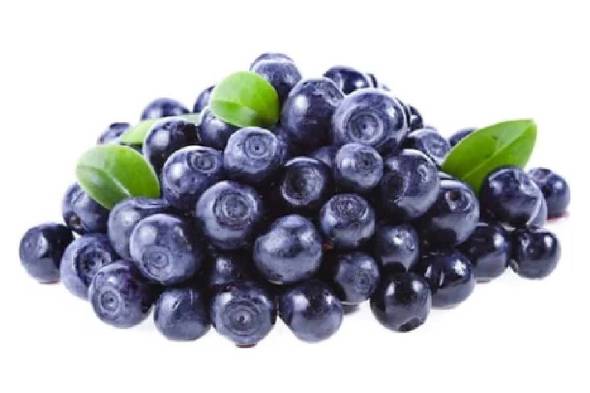 Blueberry: Anti Inflamasi dan Antioksidan yang Membantu Mencegah Penyakit Kronis