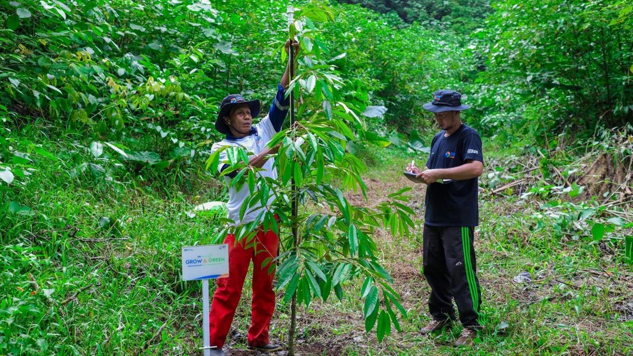 BRI Pertegas Komitmen dalam Menjaga Ekosistem Lingkungan melalui BRI Menanam – Grow & Green