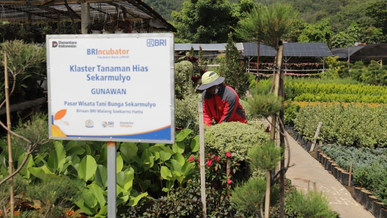 Perkuat Ekonomi Kerakyatan, BRI Berdayakan 41 ribu Klaster Usaha melalui Pembiayaan dan Literasi Keuangan