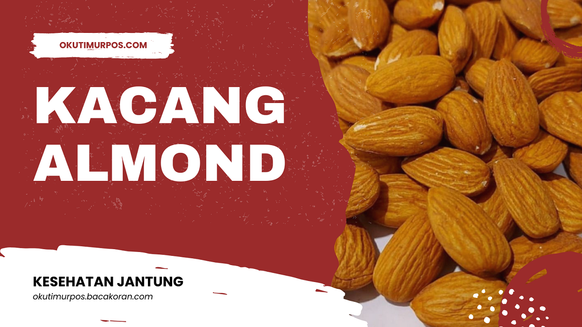 Inilah 7 Manfaat Alami dari Kacang Almond, Cemilan yang Wajib dikonsumsi untuk Menjaga Kesehatan Jantung