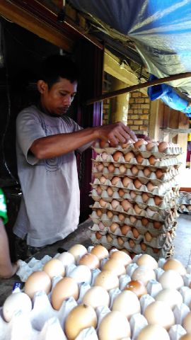 Dampak Pakan Ternak Naik, Harga Telur Ayam di Martapura Meroket