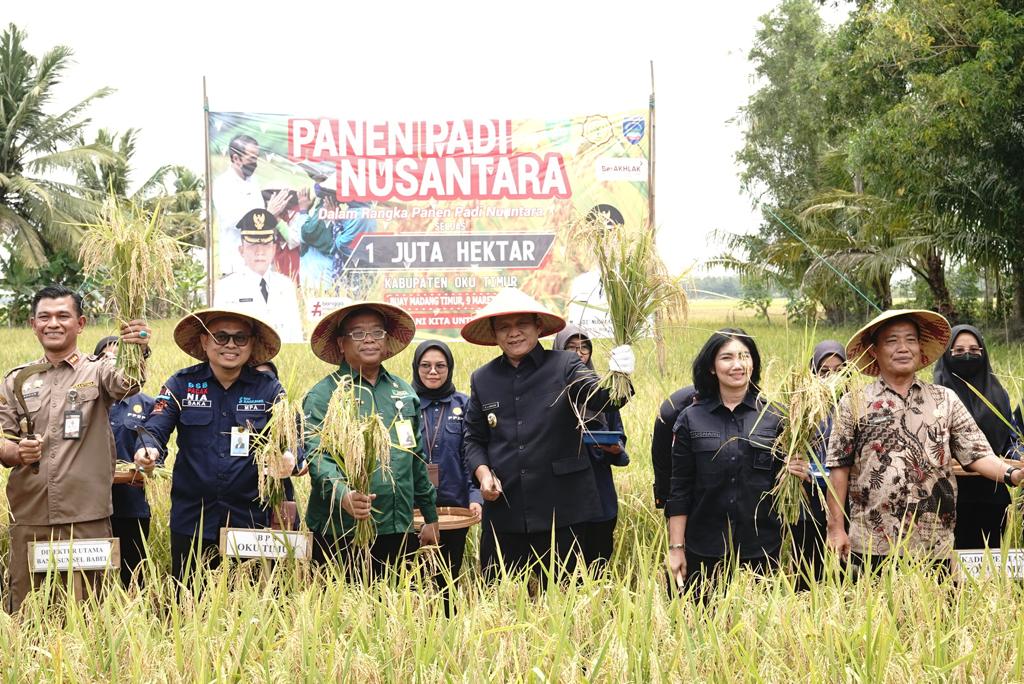 Dinas Pertanian OKU Timur Gelar Panen Padi Nusantara Bersama Petani