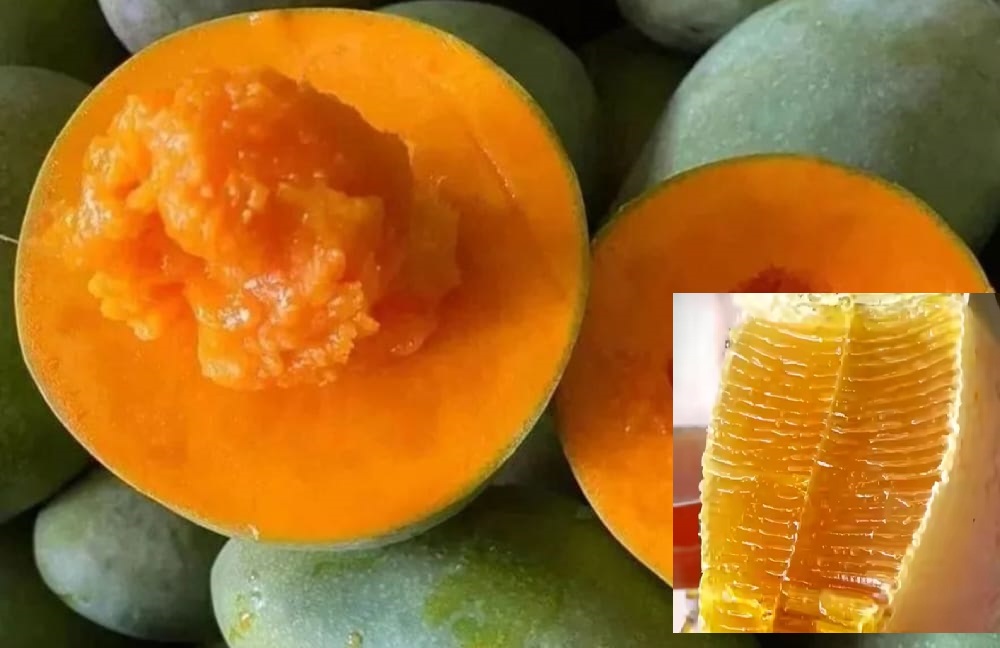 Rahasia Rambut Sehat dan Lembut dengan Masker Buah Mangga dan Madu