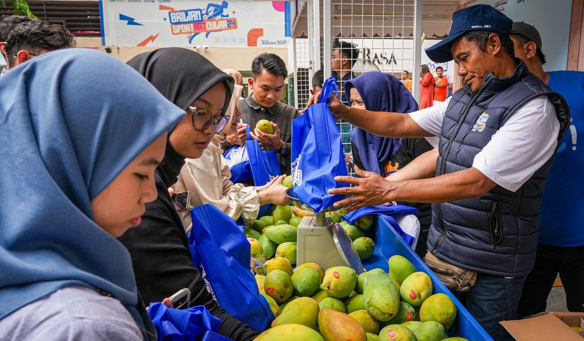 Diberdayakan BRI, Petani Mangga Bondowoso Mampu Perluas Lahan dan Tingkatkan Taraf Hidup