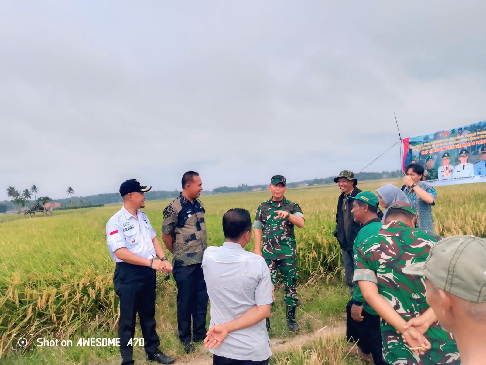 Danpuslapur Panen Raya Bersama Petani Bukit Sari, Cairan Mikroba PA63 Sukses Bikin Hasil Panen Melimpah
