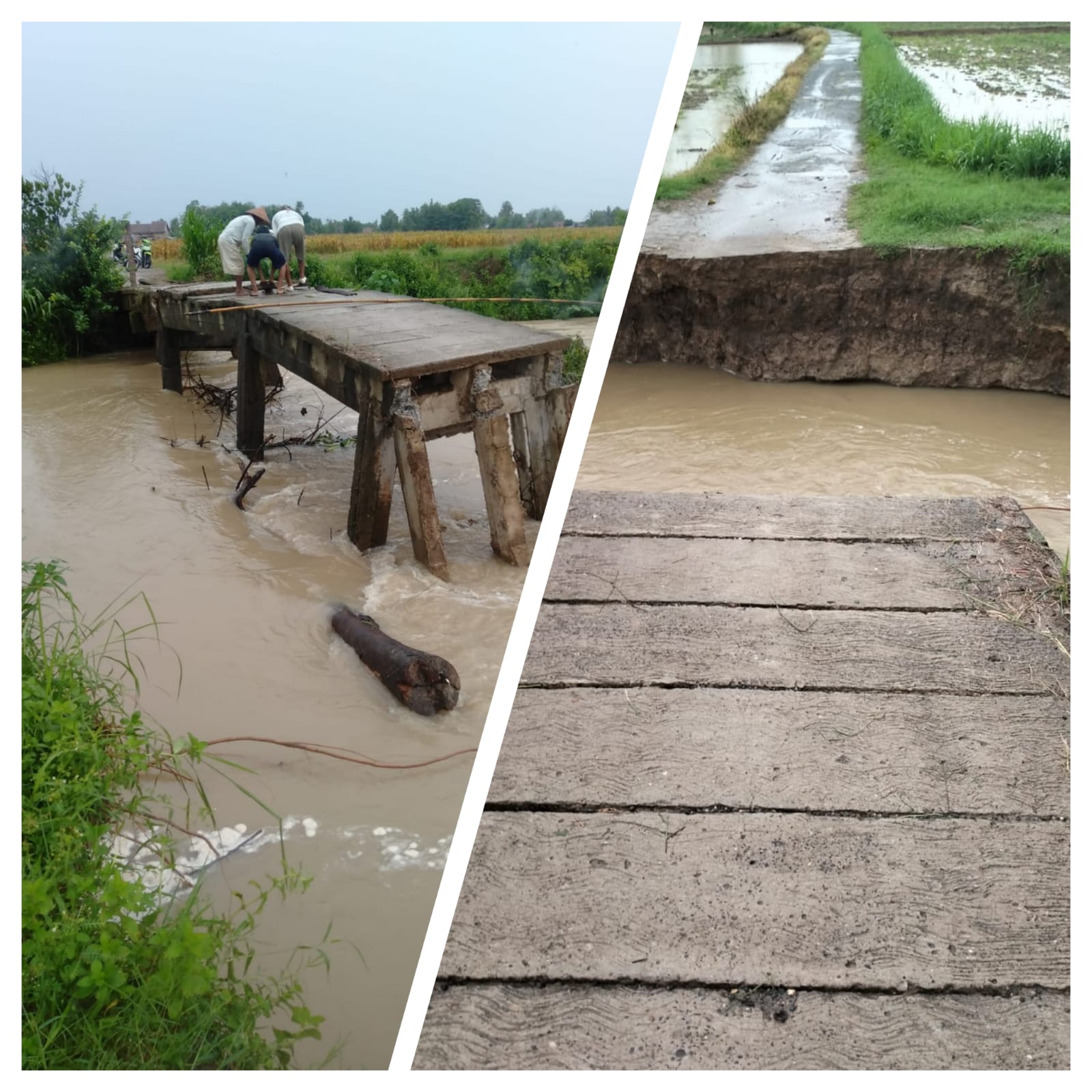 Jembatan Penghubung Desa Taraman Jaya dan Sukamulya OKU Timur Putus, Ini Harapan Masyarakatnya