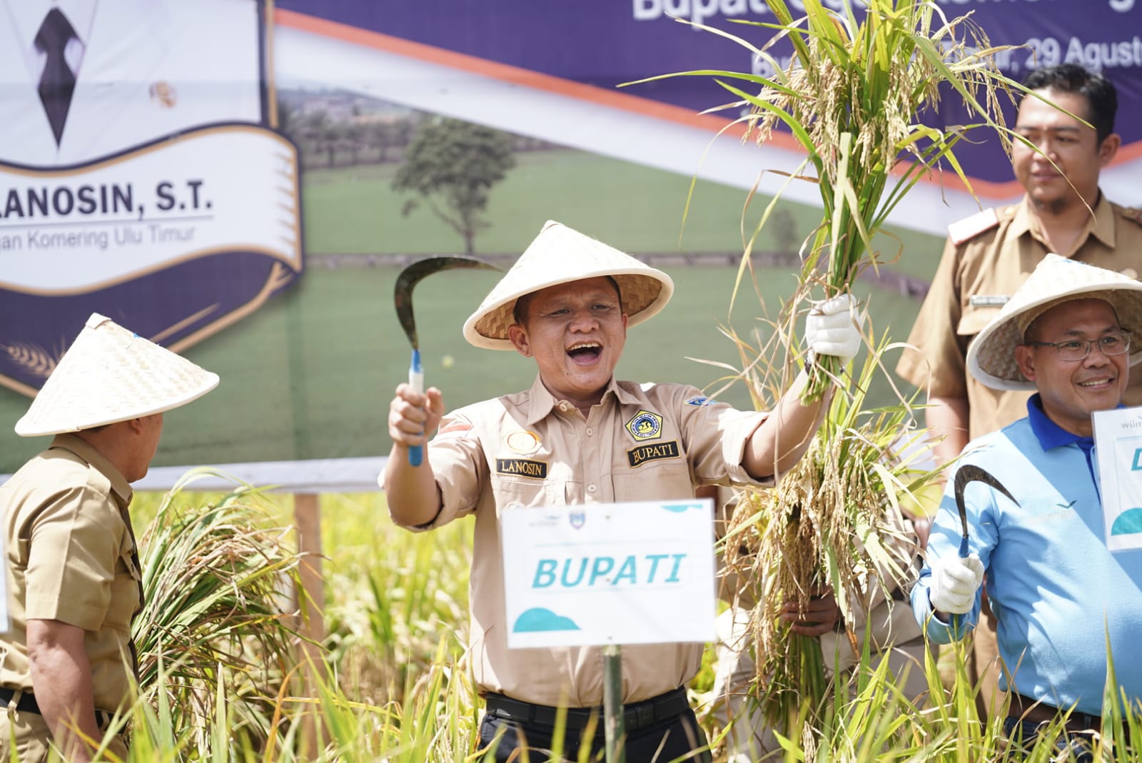 Produksi Naik 30 Persen, Pupuk Mahkota IP-200 Dinilai Berhasil