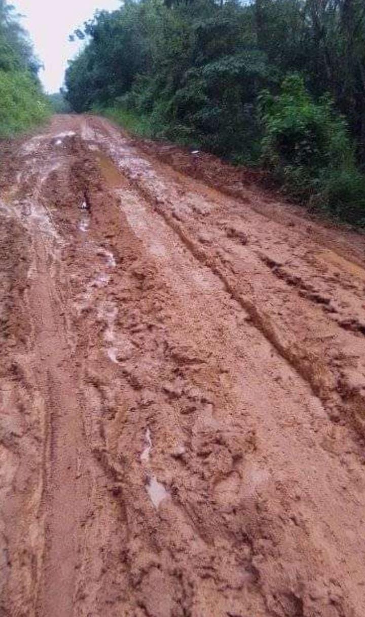 Jalan Kabupaten di Desa Banding Agung Rusak Parah, Mendesak Diperbaiki 