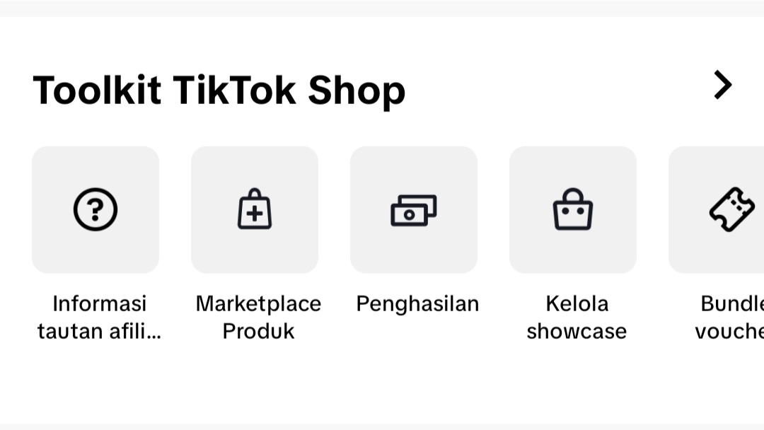 Tik Tok: Aplikasi Penghasil Uang yang Kini Banyak Diincar, Begini Caranya