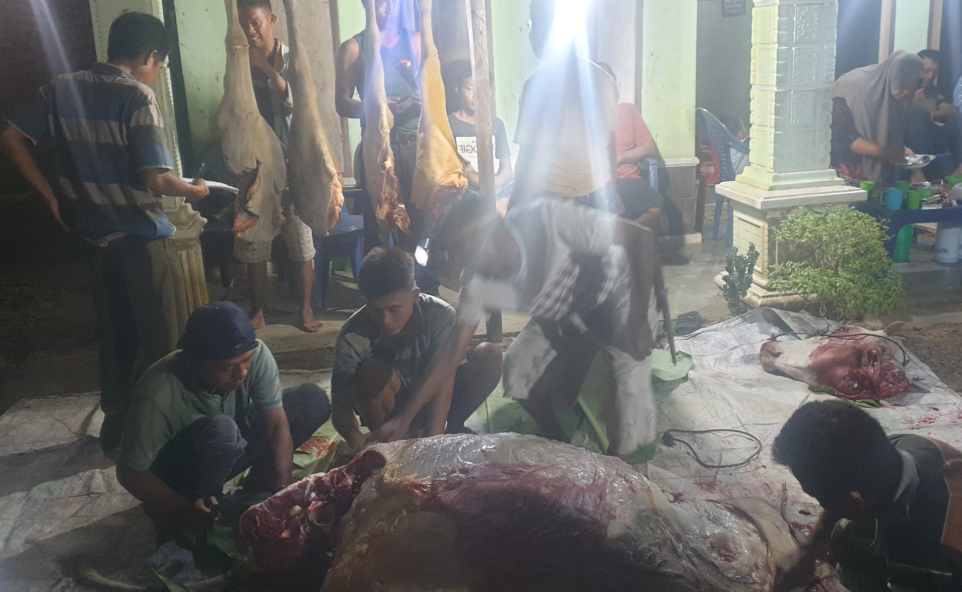 Potong 24 Ekor Sapi, Riang Bandung Pusat Perdagangan Daging di Madang Suku II