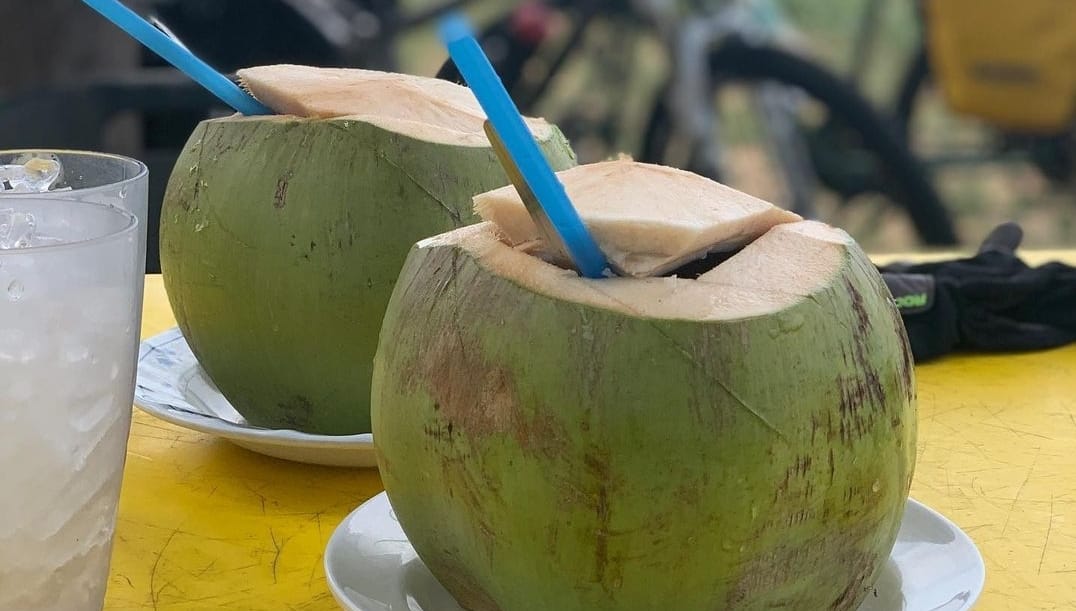 Dikenal Dengan Pohon Seribu Manfaat, Ternyata Air Kelapa muda Baik untuk Kesehatan Jantung