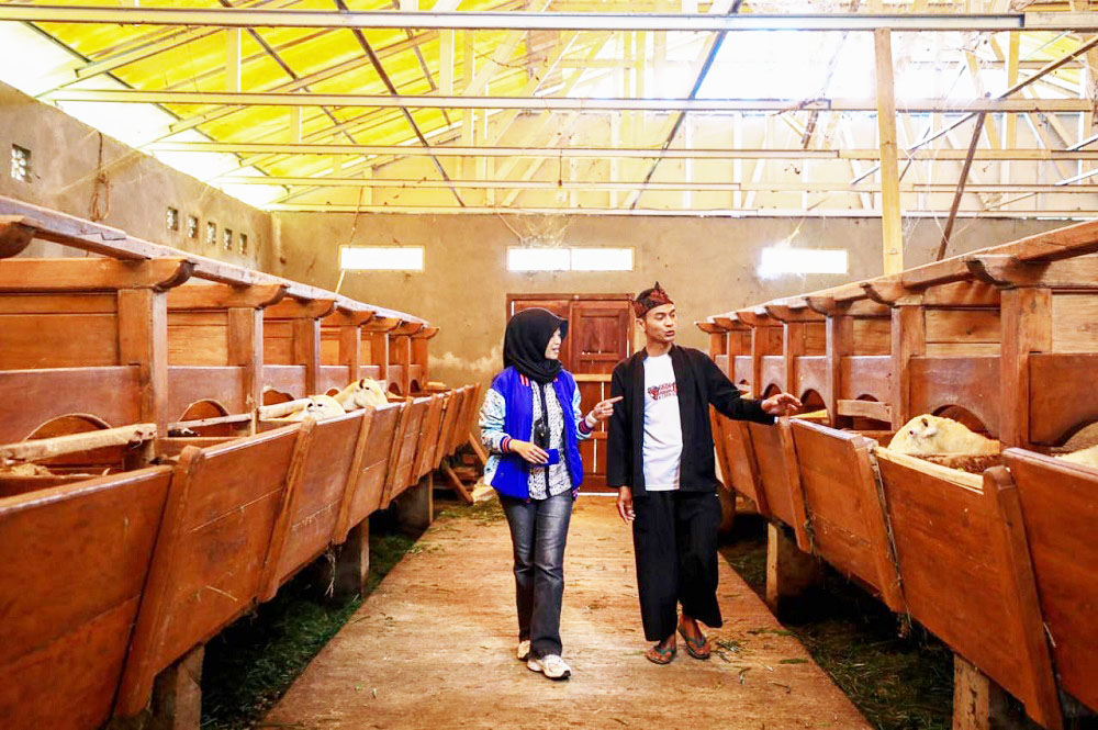 Program Desa BRILiaN, BRI dorong Terwujudnya Desa Wisata sebagai Destinasi Unggulan Daerah