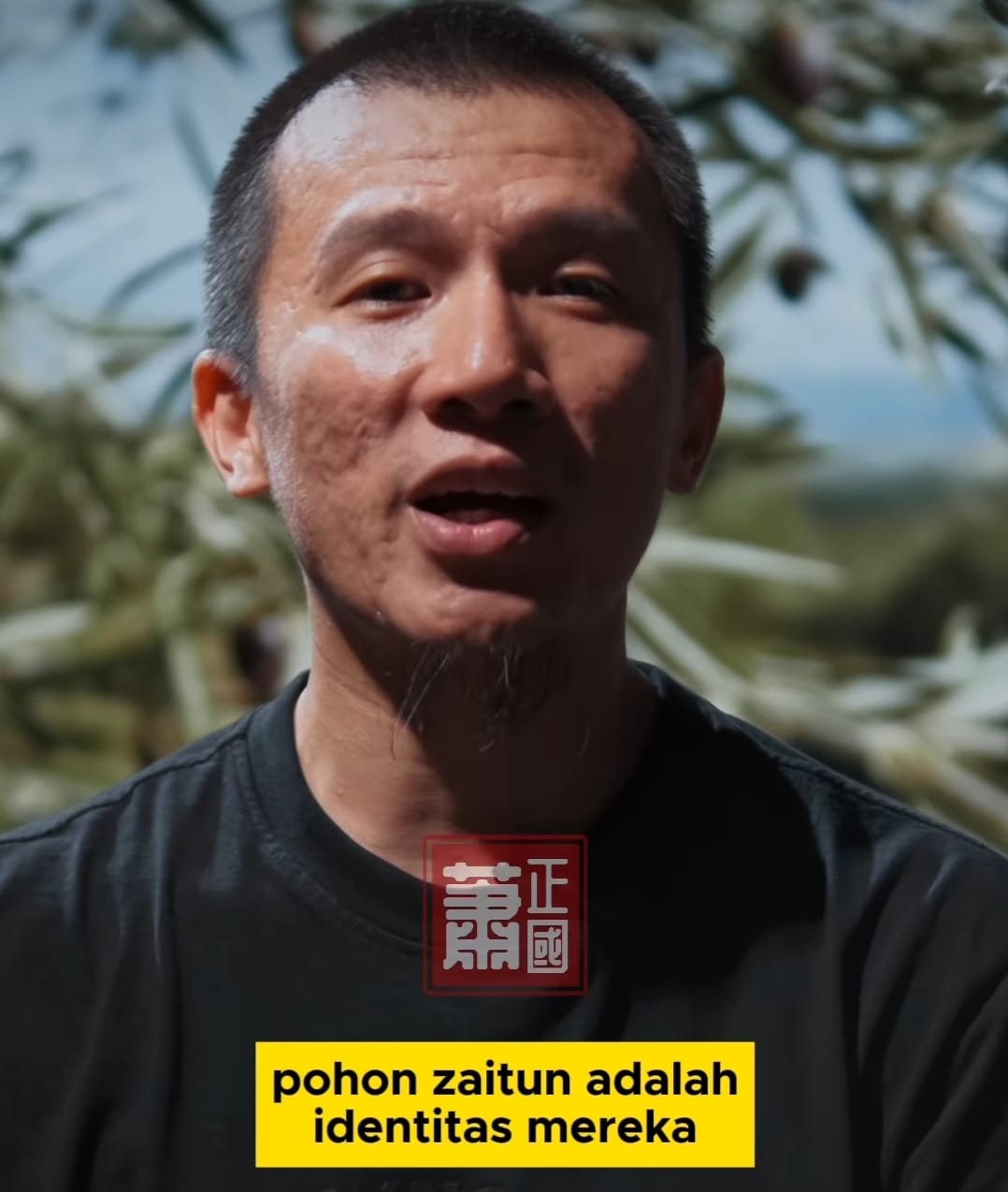 Bukan Cuma Semangka Pohon Zaitun Juga Lambang Palestina,  Ustadz Felix: Kenapa?