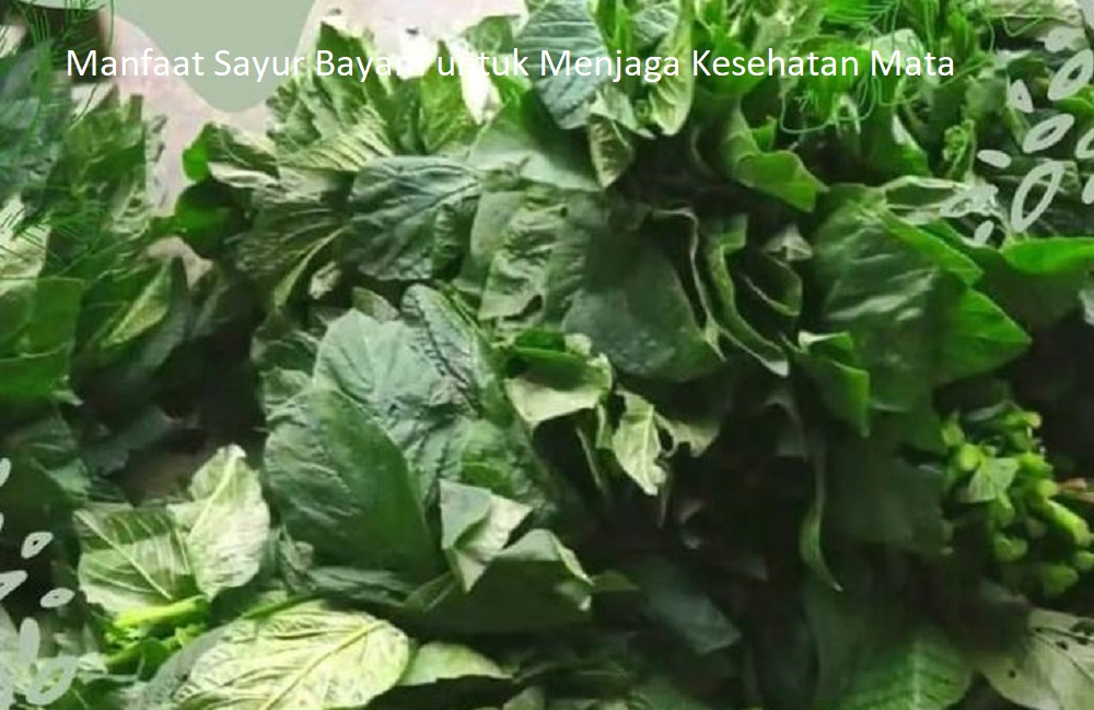 Solusi Alami Menjaga Kesehatan Mata dengan Sayur Bayam