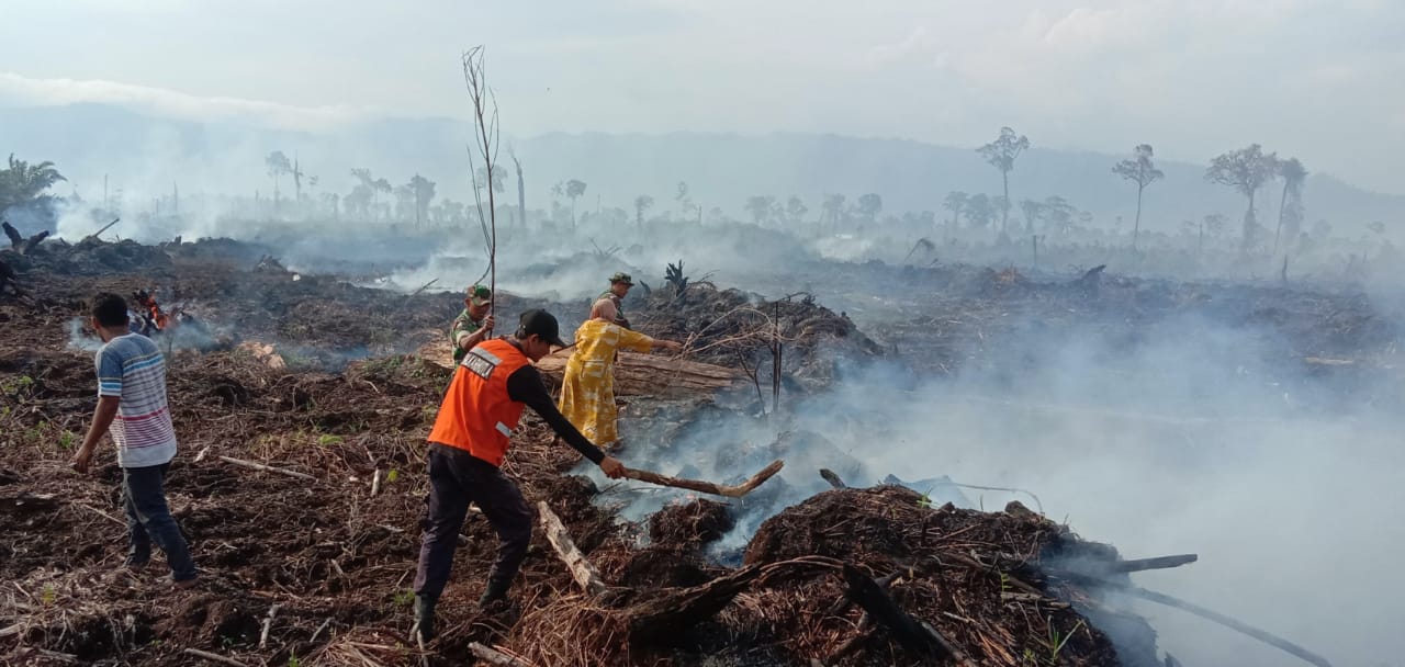 Antisipasi Kebakaran Hutan, Ini Intruksi Kapolri ke Seluruh Kapolda