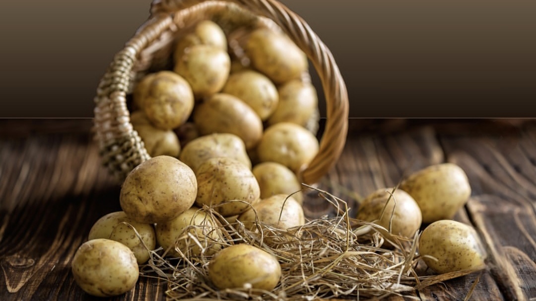 Kentang, Selain Kaya Vitamin C, Ternyata Dapat Menjaga Kesehatan