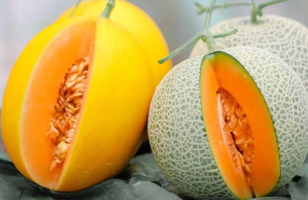Temukan 6 Manfaat  Buah Melon yang Jarang Diketahui dan Harus Kamu Intip